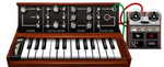 moog.jpg